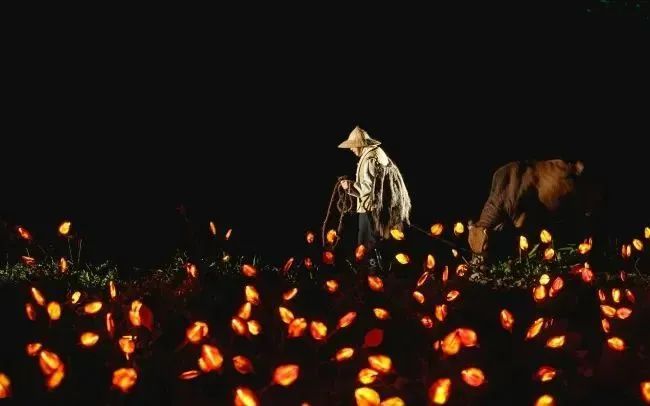 1691395796713811.jpg 12.jpg